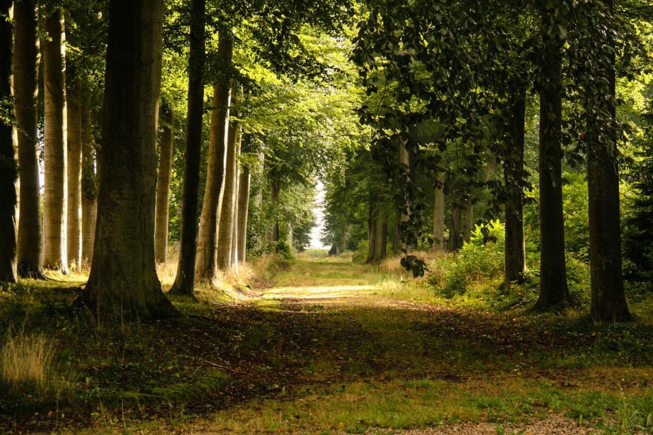 Les Ecuries Du Chateau De Brumare Brestot Zewnętrze zdjęcie